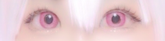 レビュー写真