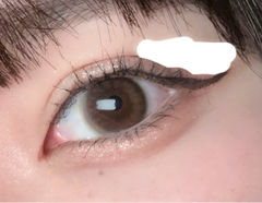 レビュー写真