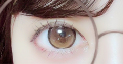 レビュー写真