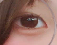 レビュー写真