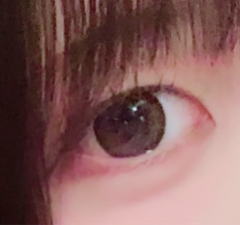 レビュー写真