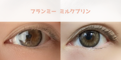 レビュー写真