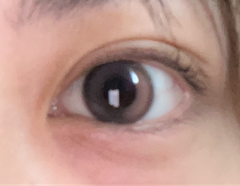 レビュー写真