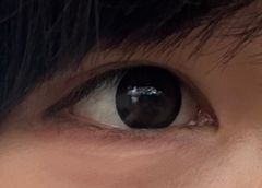 レビュー写真
