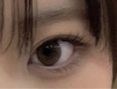 レビュー写真
