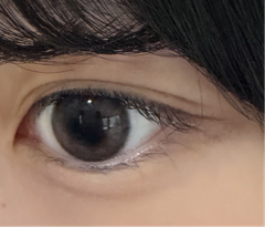 レビュー写真