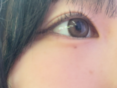 レビュー写真