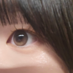 レビュー写真