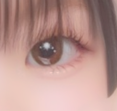 レビュー写真