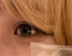 レビュー写真