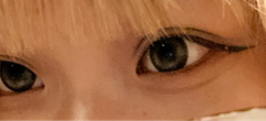 レビュー写真