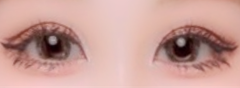 レビュー写真