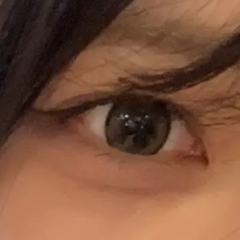 レビュー写真