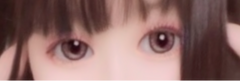 レビュー写真