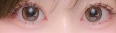 レビュー写真