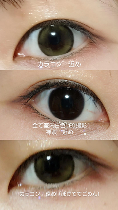 レビュー写真