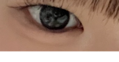 レビュー写真