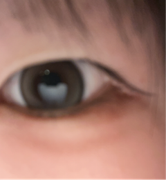レビュー写真