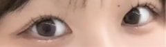 レビュー写真