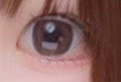 レビュー写真