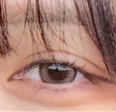 レビュー写真