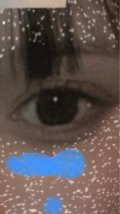 レビュー写真
