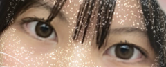 レビュー写真