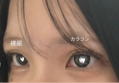 レビュー写真
