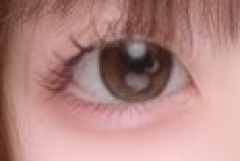 レビュー写真