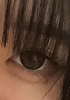 レビュー写真
