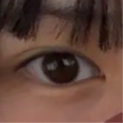 レビュー写真