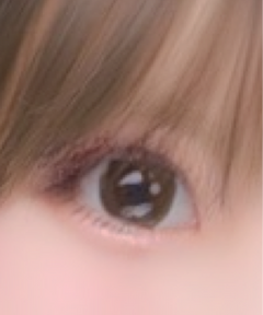 レビュー写真