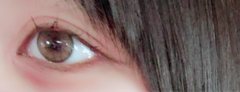 レビュー写真