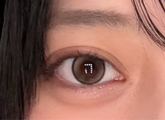 レビュー写真
