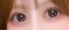 レビュー写真