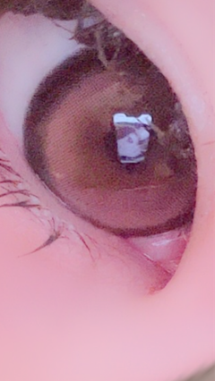 レビュー写真