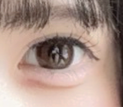 レビュー写真