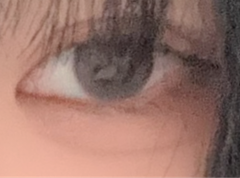レビュー写真
