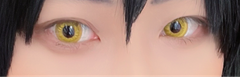 レビュー写真