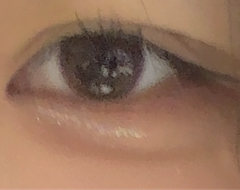 レビュー写真