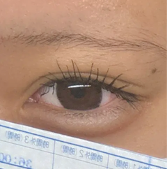 レビュー写真