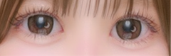 レビュー写真