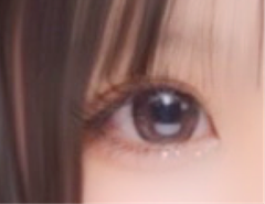 レビュー写真