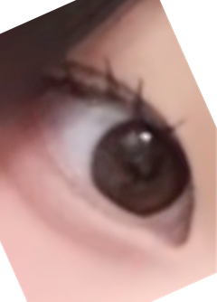 レビュー写真