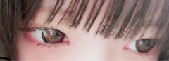 レビュー写真