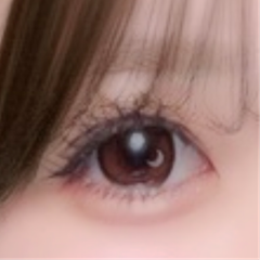 レビュー写真