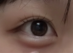 レビュー写真
