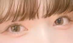 レビュー写真