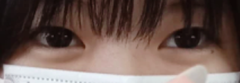 レビュー写真