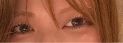 レビュー写真